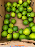 Fresh limes
