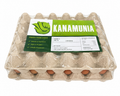 A create of fresh eggs