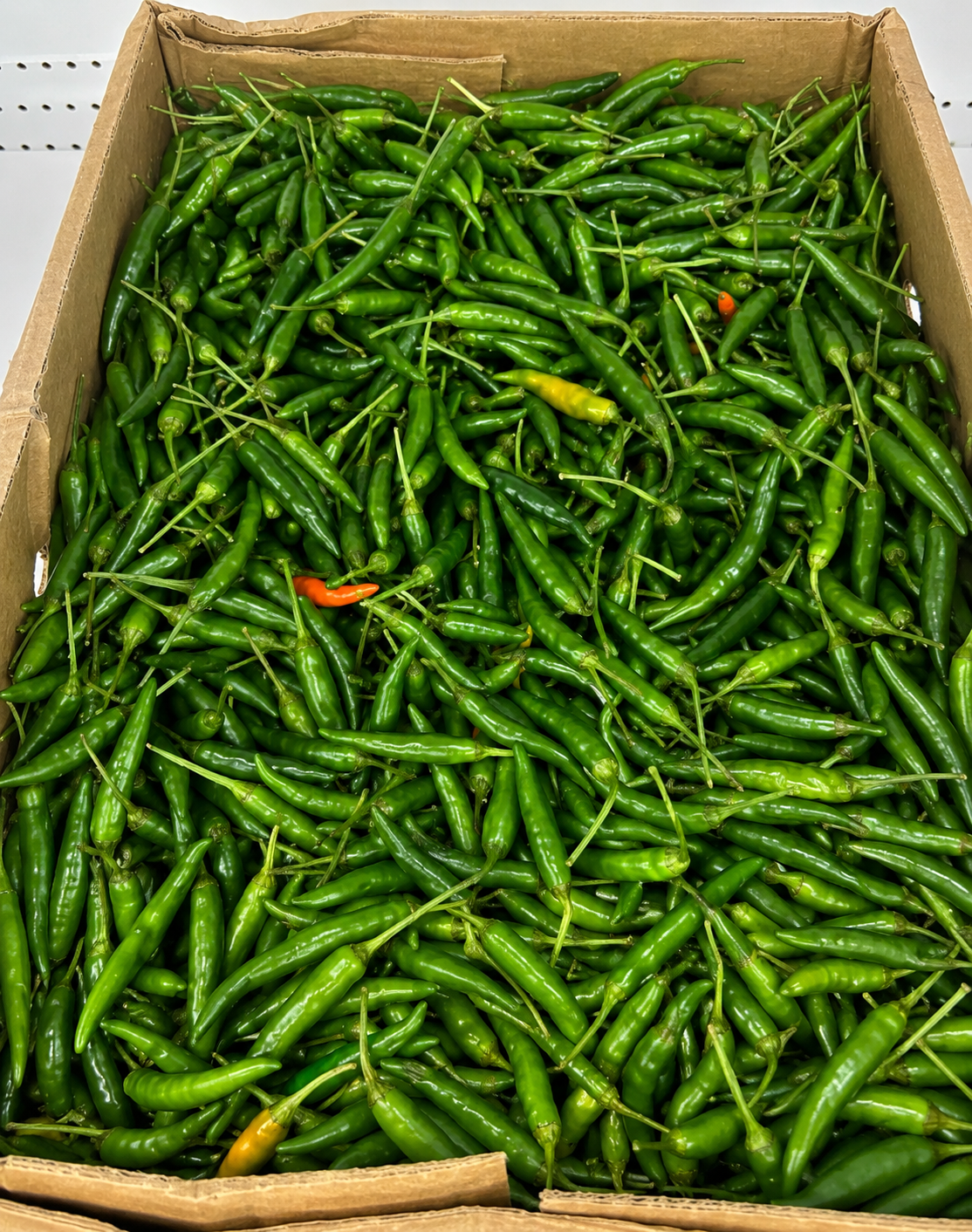 Fresh Green Chili Peppers