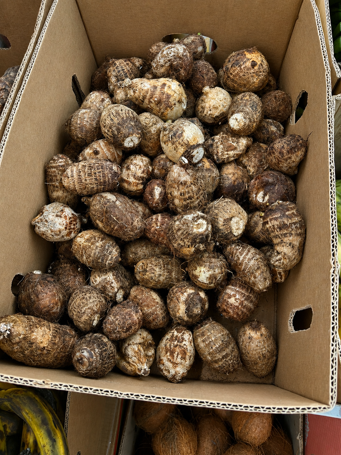 Ẹ̀dẹ̀ (Cocoyam)