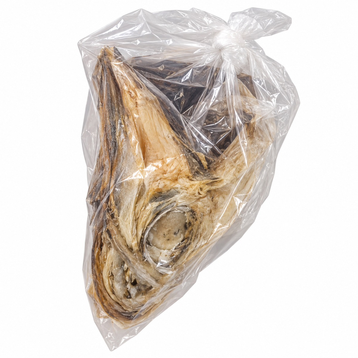 Stockfish Head