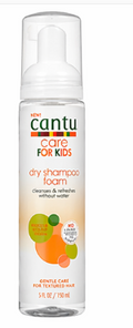 Dry Shampoo Foam-171ml