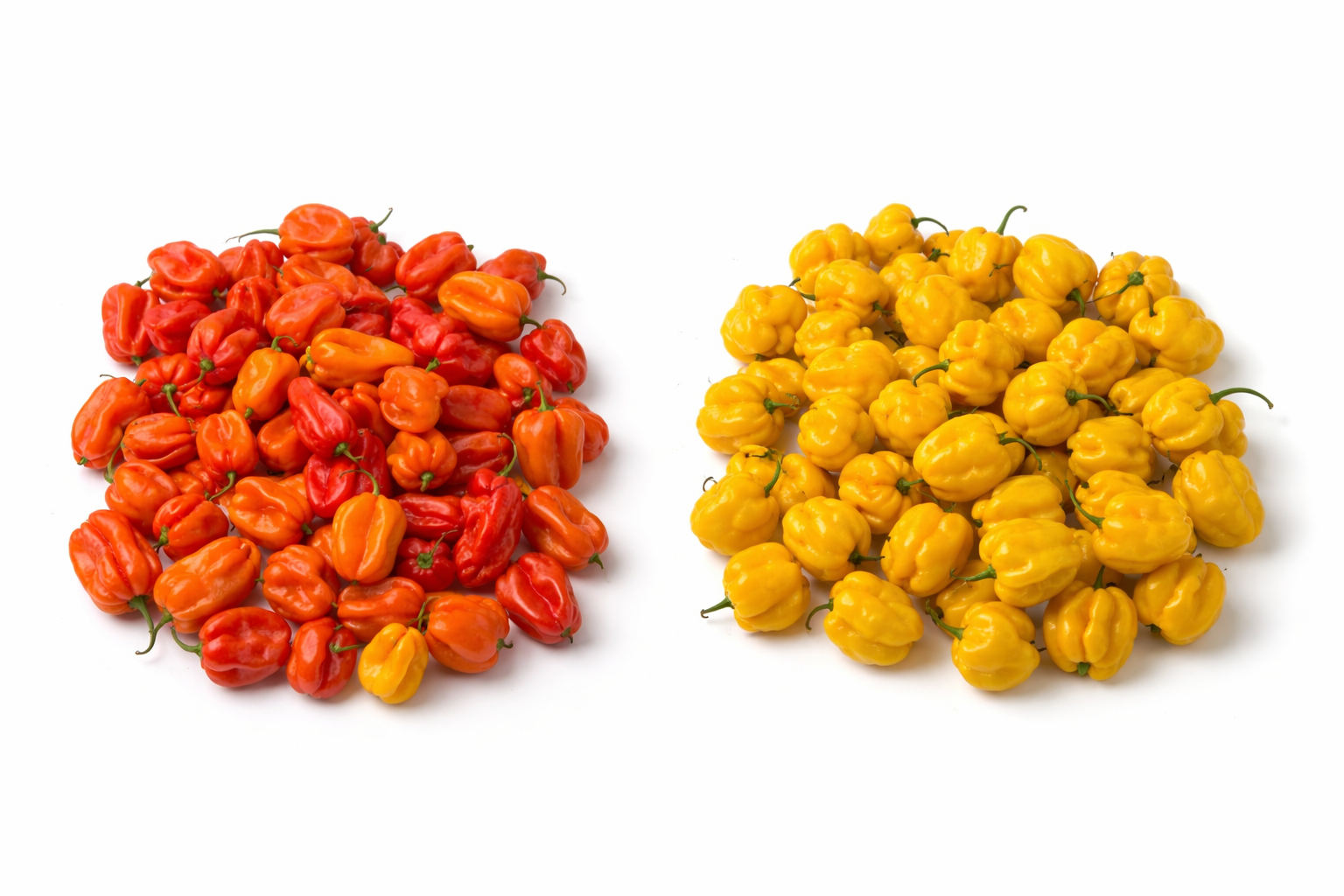 Fresh Peppers
